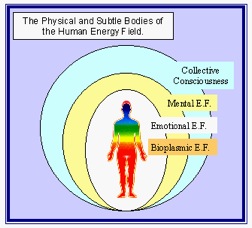 The Human Energy Field