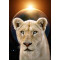Marah-Sekhmet folded greeting card