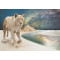 Marah-Sekhmet folded greeting card
